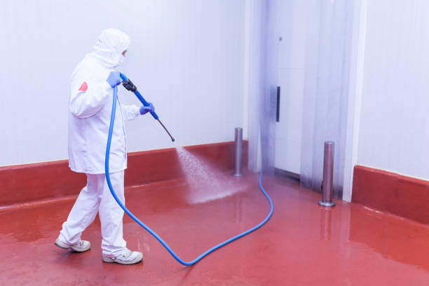 Best Patio and Deck Pressure Washing  in Marianna, FL