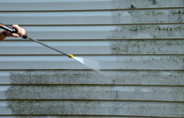 Best Driveway Pressure Washing  in Marianna, FL