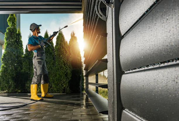 Animal Enclosure Cleaning in Marianna, FL